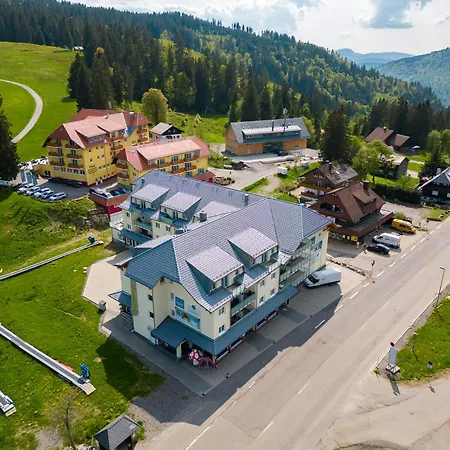 113 * Feldberg (Baden-Wurttemberg)